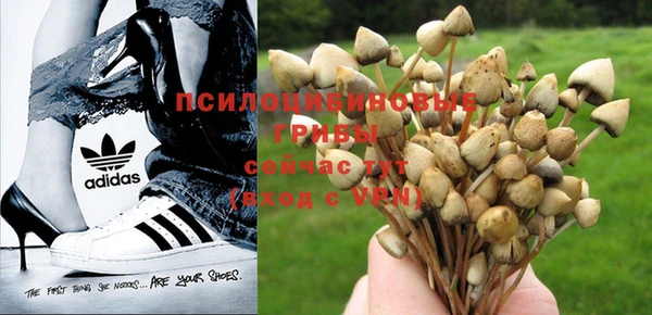 молекула духа Кодинск