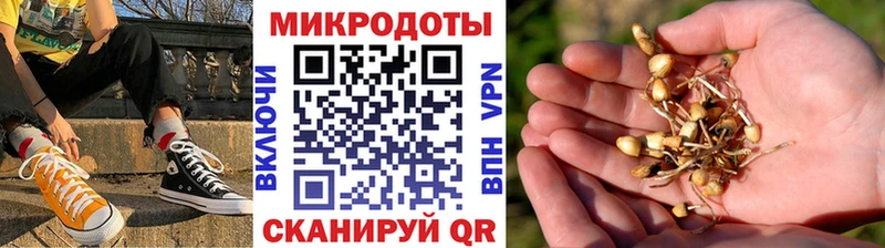Псилоцибиновые грибы ЛСД  Купить где  Волгореченск 